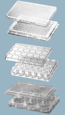 Планшеты серии Cell+