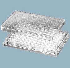 Планшеты из высококачественного прозрачного полистирола